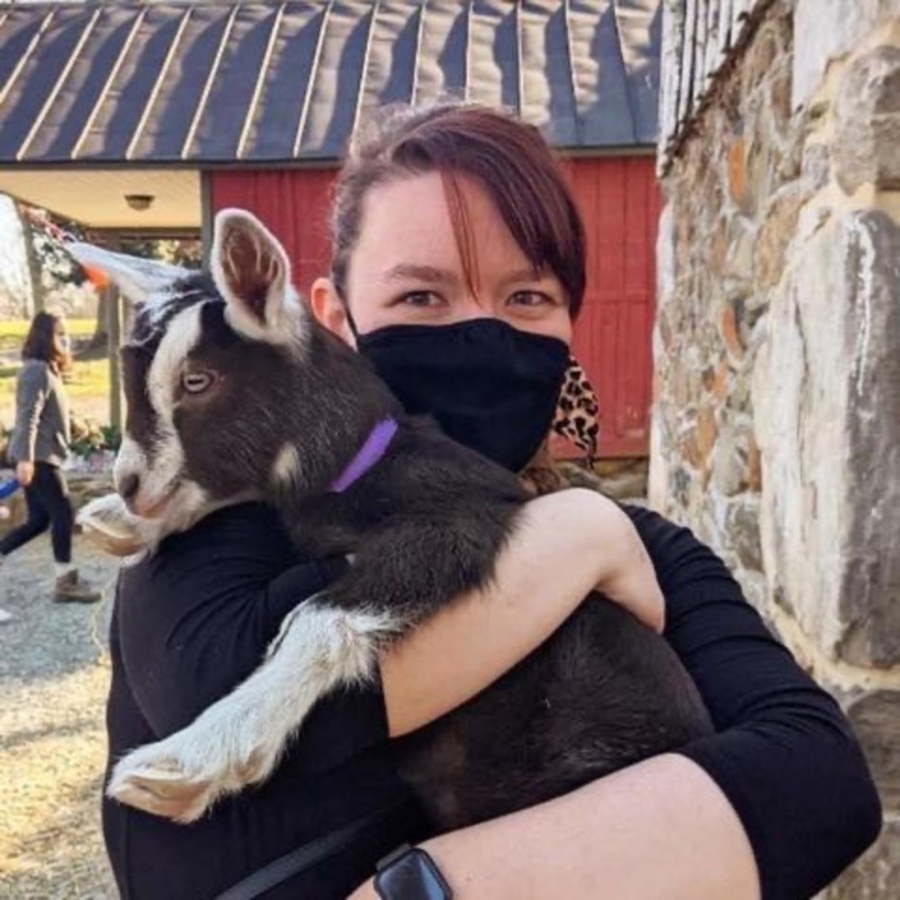 Meet your Posher, Alison